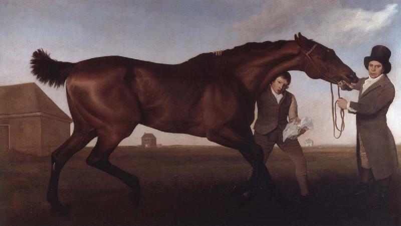 George Stubbs Hambletonian, Rubbing Down